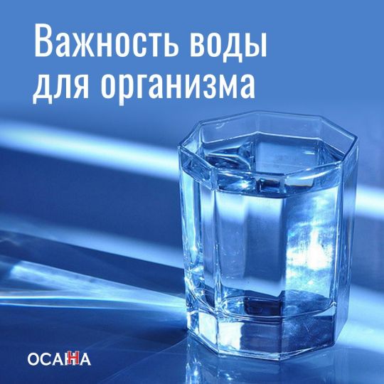 Важность воды для организма