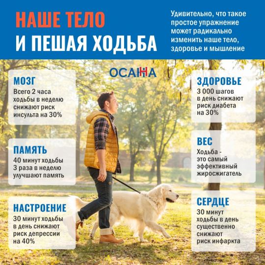 Наше тело и пешая ходьба