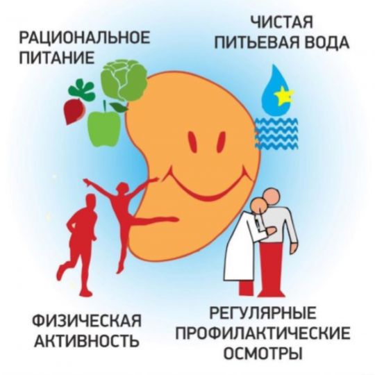 Как сохранить почки здоровыми