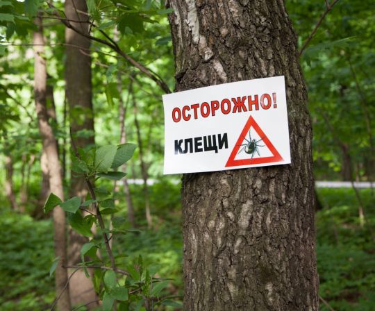 Осторожно, клещи!