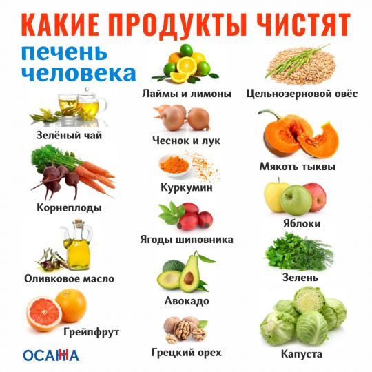 Какие продукты чистят печень человека