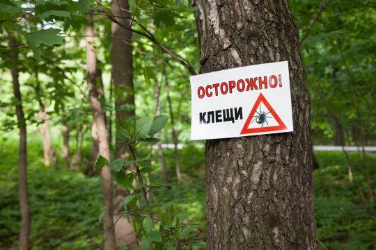 Выезжая на природу, не забывайте о безопасности!