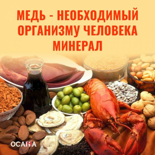 Медь - это необходимый организму человека минерал