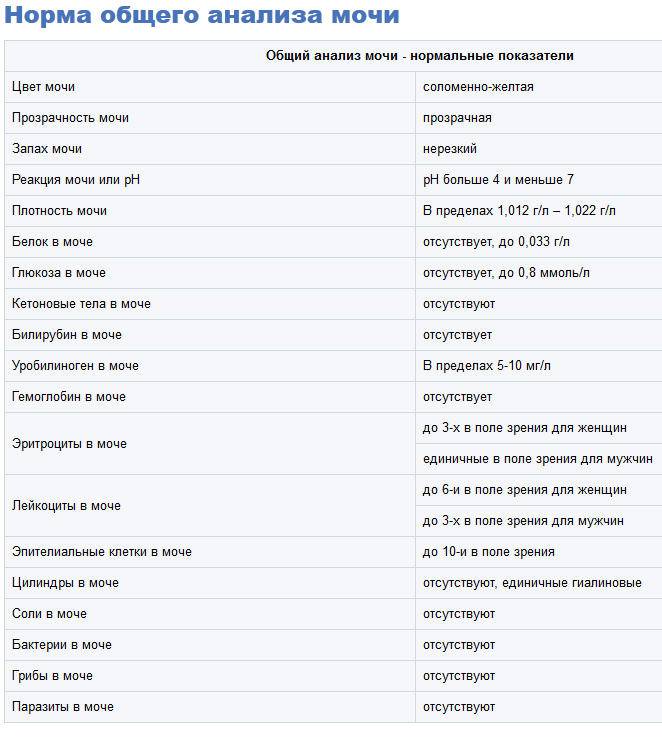 Общий анализ мочи картинка